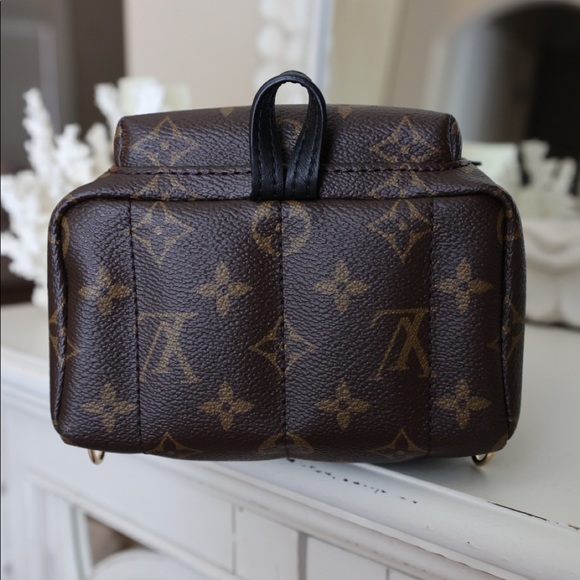 Louis Vuitton Palm Springs Mini Backpack - Picture 6 of 13